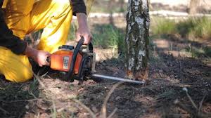 Lawn Grading and Leveling in Forest View, IL